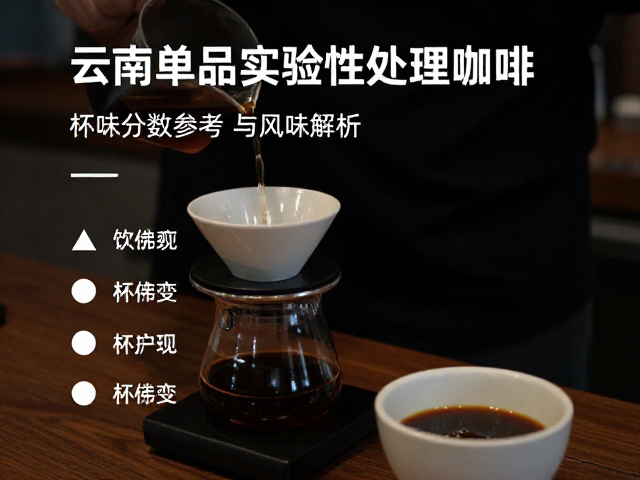 主要实验性处理法的风味解析与辨识