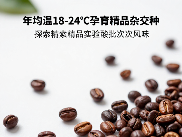 实验批次的风味图谱构建