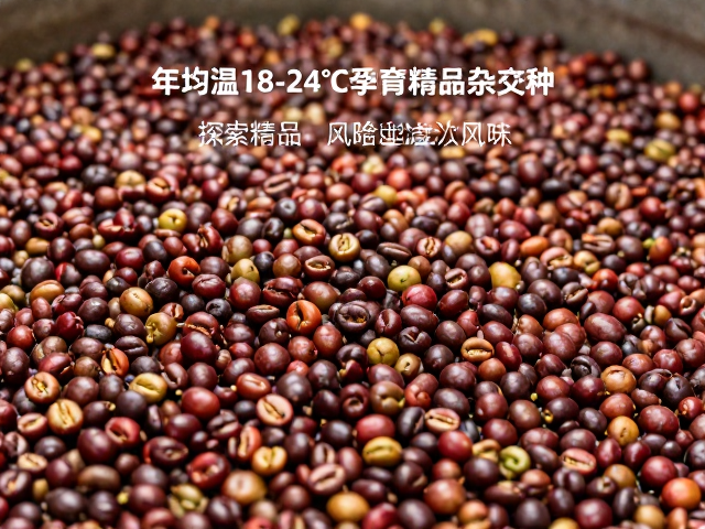 加工工艺对风味潜力的释放