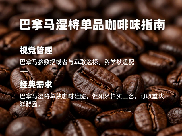 烘焙策略与萃取参数的科学适配