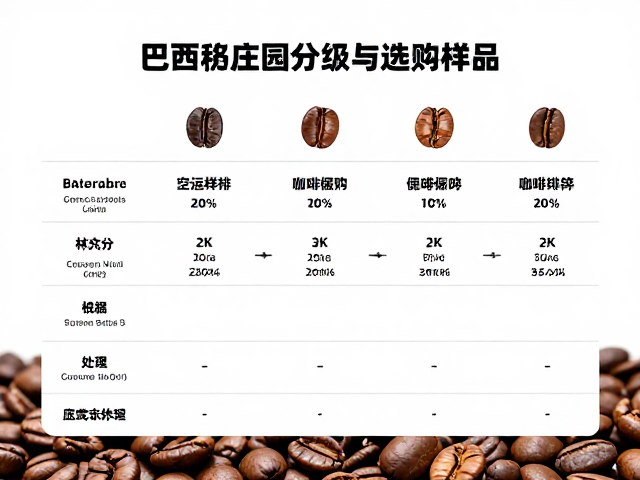 生豆处理与分级对最终风味的隐性影响