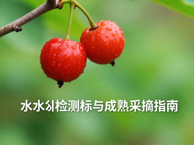基于水分指标的成熟采摘策略