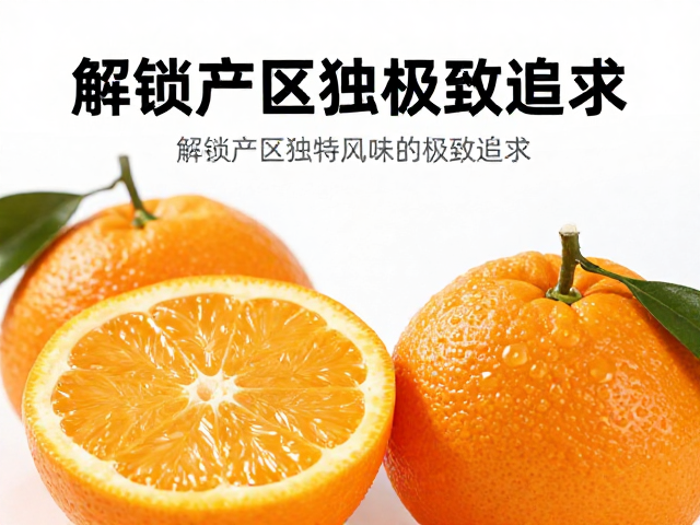 风味解码与感官评价的科学体系