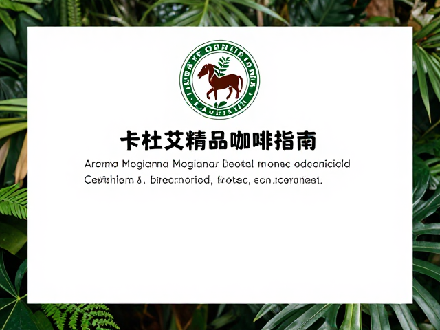 雨林联盟认证的核心标准与生态实践