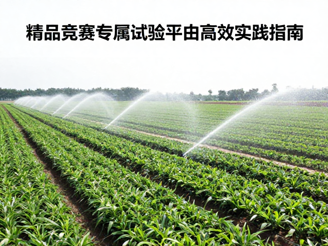 行列式规范种植的田间空间管理