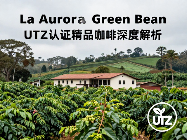 La Aurora庄园Green Bean,UTZ认证精品咖啡深度解析