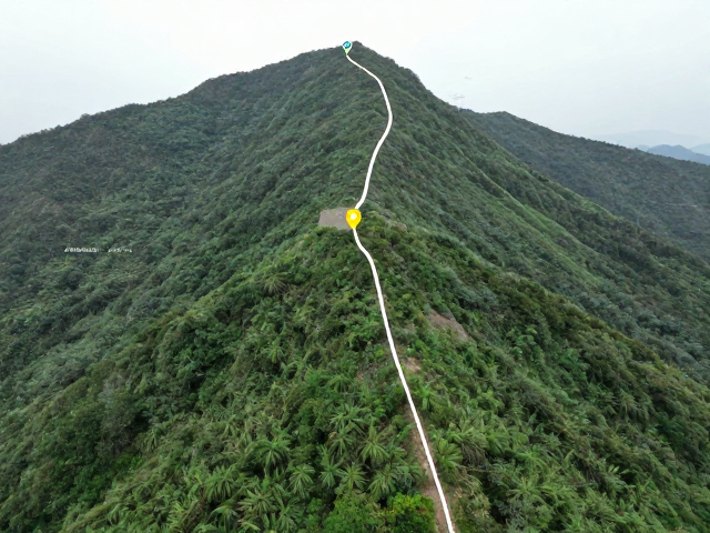 山野地标人工定位法,轨迹回放与路线文件生成全攻略