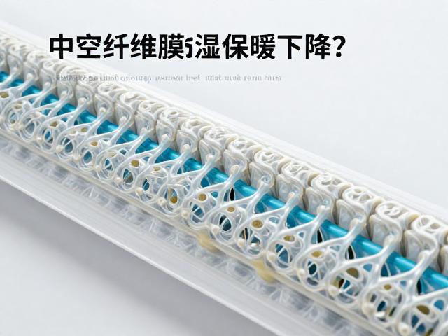 中空纤维膜的微观结构与流体分离机制