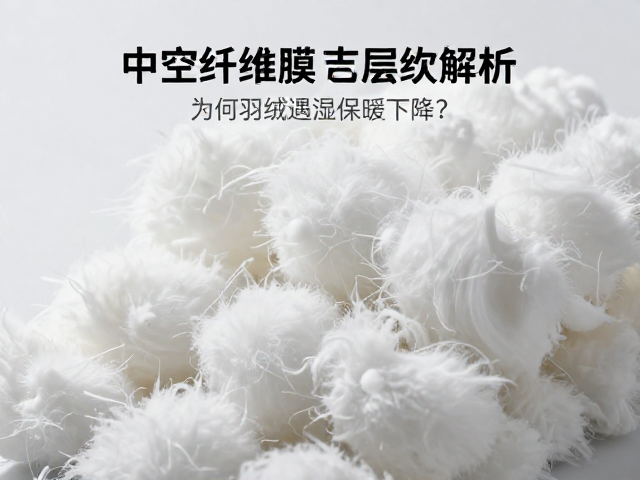羽绒蓬松结构与空气滞留原理
