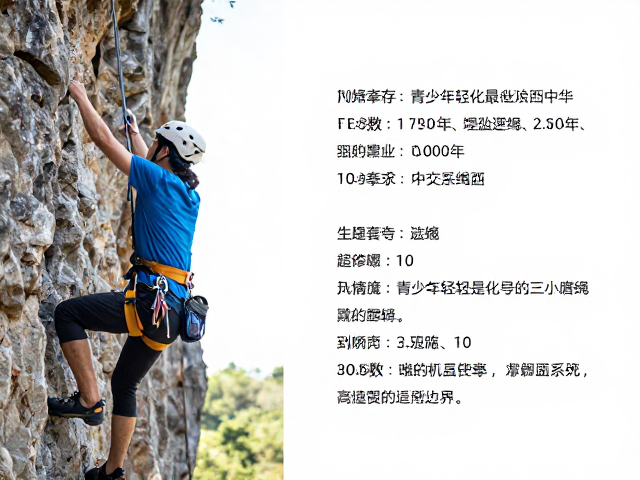 青少年轻量化安全带的选型逻辑与适用边界