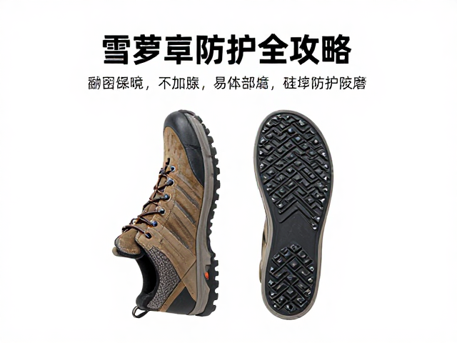 雪盲症的成因分析与光学防护策略