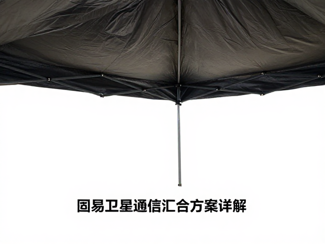 电力管理与长期生存保障