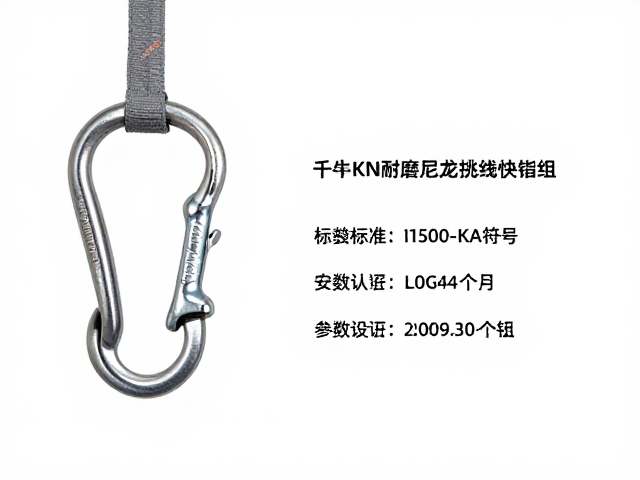 安全标准认证与参数识别逻辑
