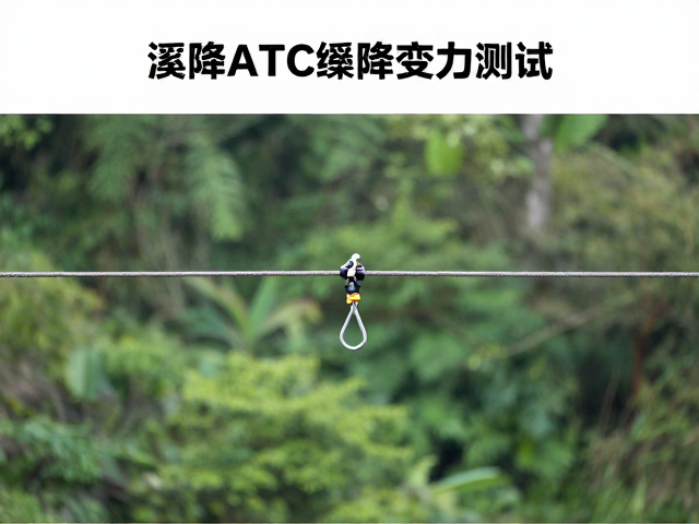 横向受力下的力学传导机制