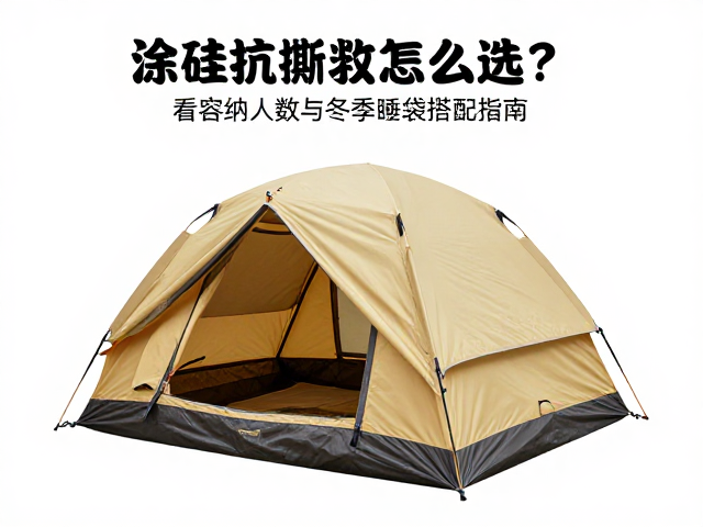 容纳人数与空间布局的实际考量