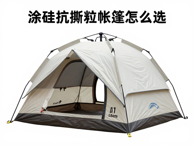 穹顶帐篷的结构优势与搭建逻辑