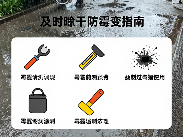 霉变识别与应急处理流程