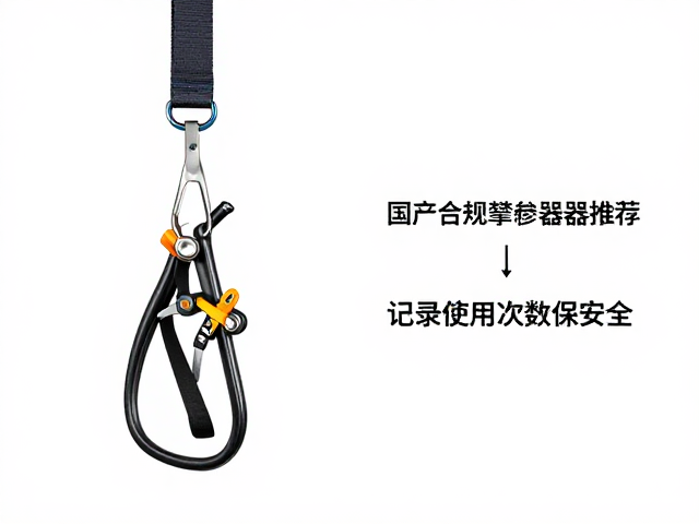 使用次数记录与可视化安全检测
