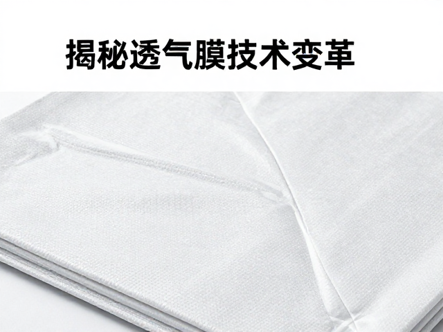 市场格局重构与消费者认知迁移