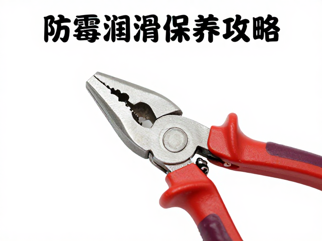 防霉防异味的环境管理与清洁策略