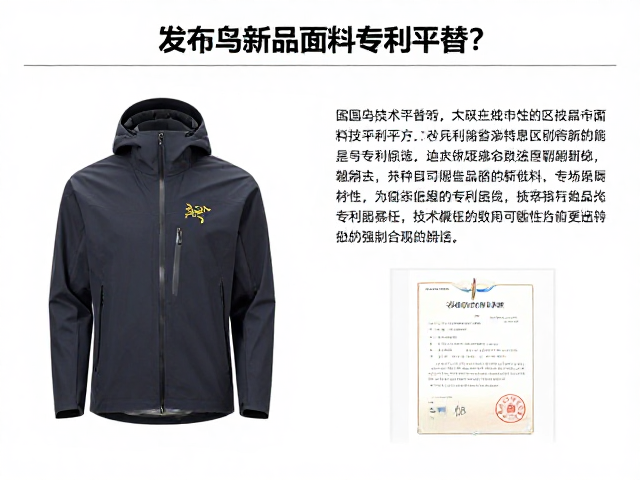 技术参数的可验证性与专利解析
