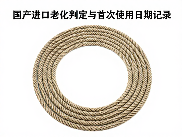 科学判定标准与检测方法