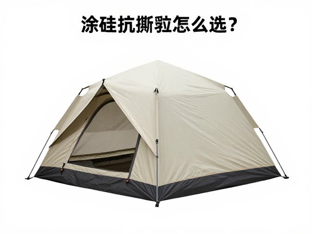 高性价比入门装备的选择策略