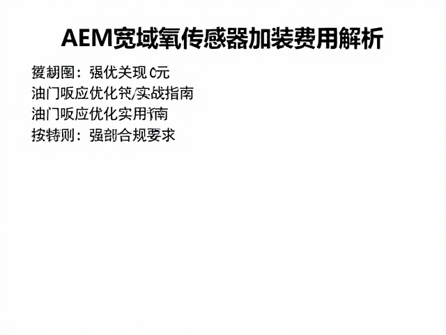 AEM宽域氧传感器加装费用解析，油门响应优化实战指南