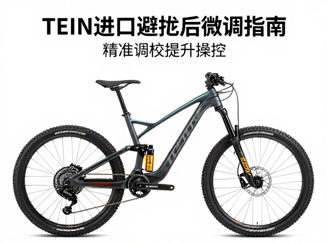 TEIN进口性能避震试骑后微调指南，精准调校提升操控