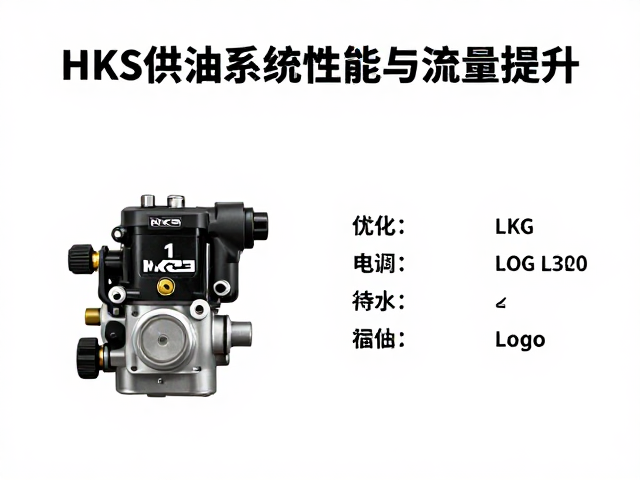 HKS燃油泵更换指南,优化电喷供油系统性能与流量提升