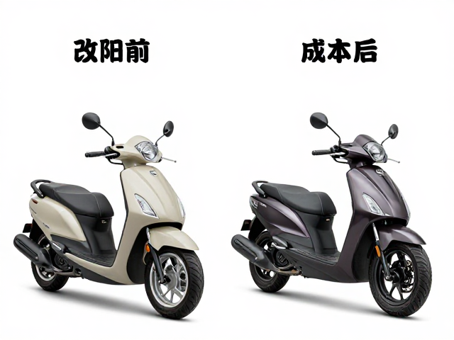 踏板与巡航改装差异，技巧对比与维护成本增加解析