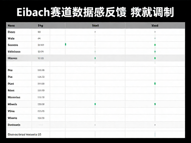 Eibach赛道数据反馈调校，提升路感反馈实战指南