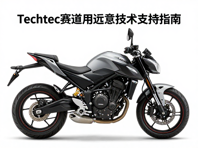 Techtec赛道专用摩托售后技术支持指南