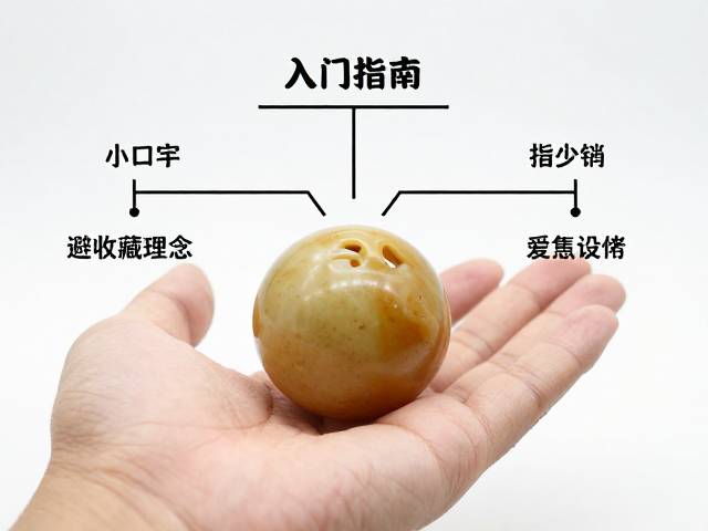 入门者的避坑指南与学习路径