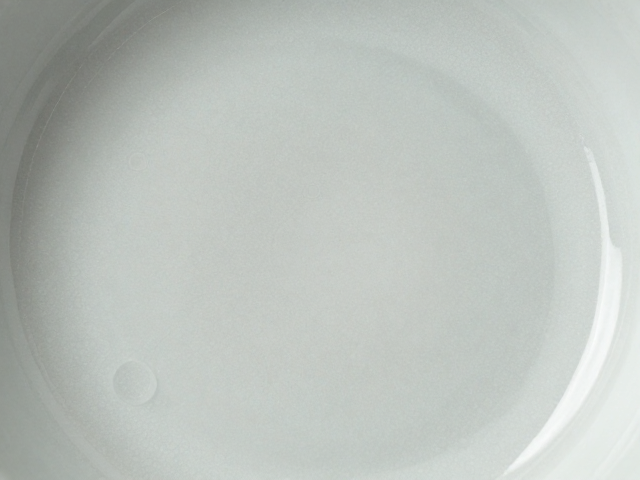 釉面气泡与轧道工艺的协同效应