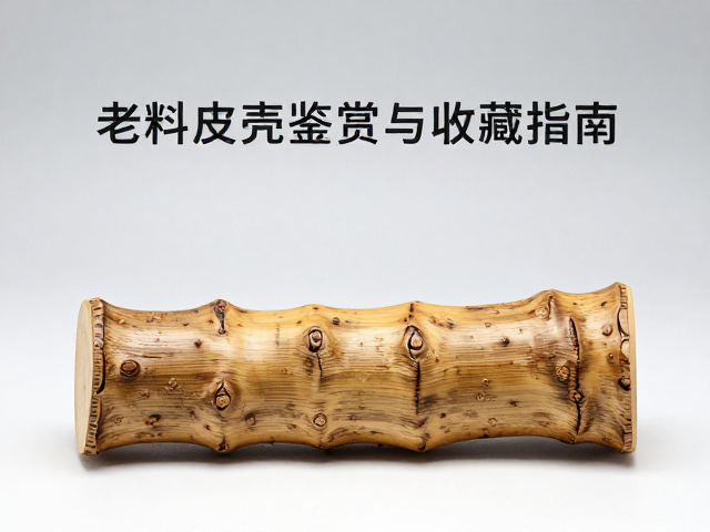 收藏入门的实用建议与保养常识