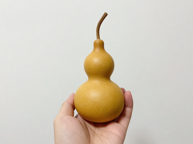 日常养护与盘玩技巧