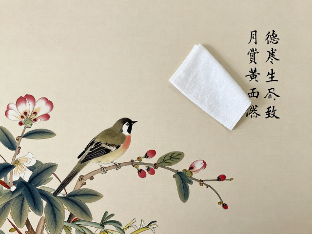 软布轻拭背后的材质养护与雅致呈现