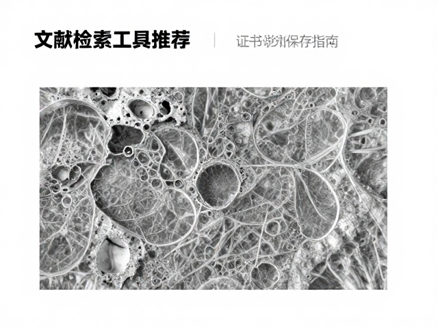 材质纹理识别:从宏观视觉到微观特征的分析逻辑