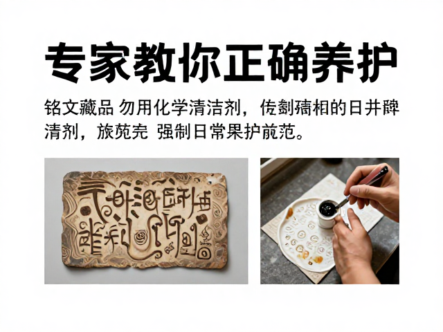 物理清洁与日常养护的核心规范