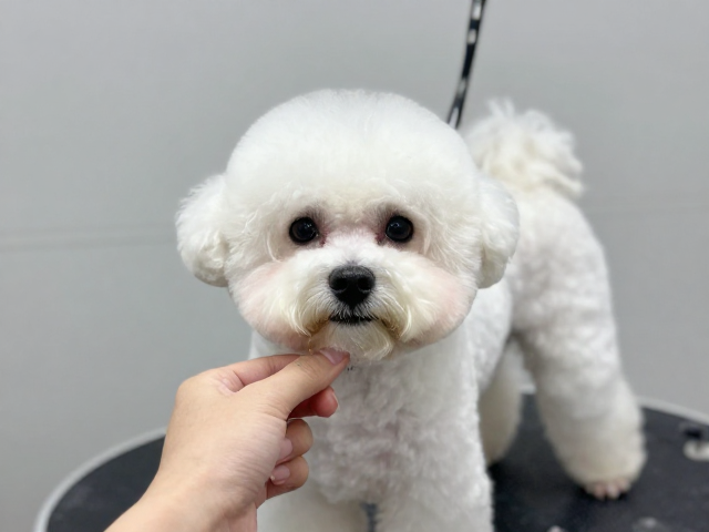 高级感造型的细节修饰