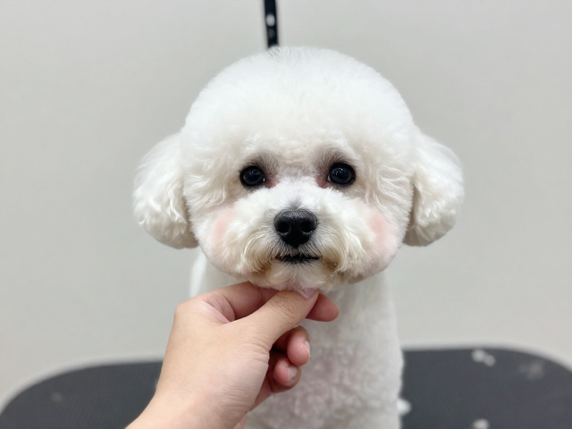 下巴线条的梳理与预处理