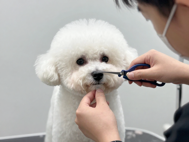 面部轮廓修剪的标准手法解析