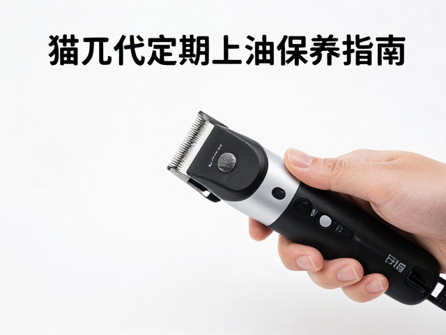 标准清洁与上油操作流程