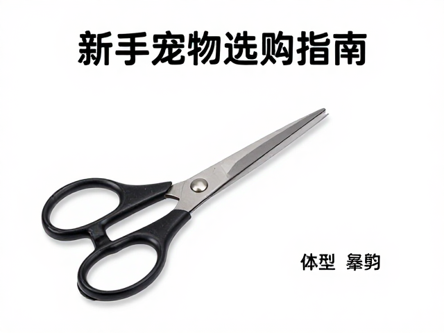 掌握基础修剪技巧