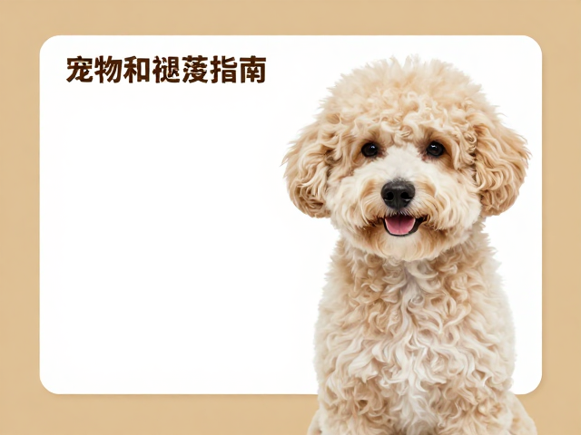 宠物旧染色温和褪色指南