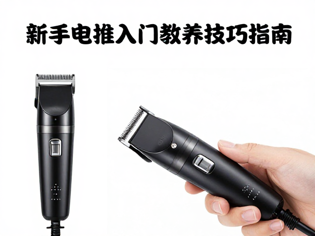 认识基础电推剪的核心构造与适用场景