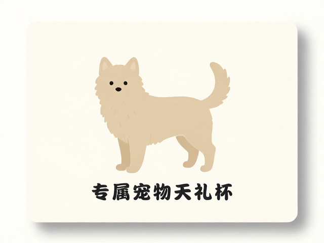 简约美学与创意染色的工艺细节
