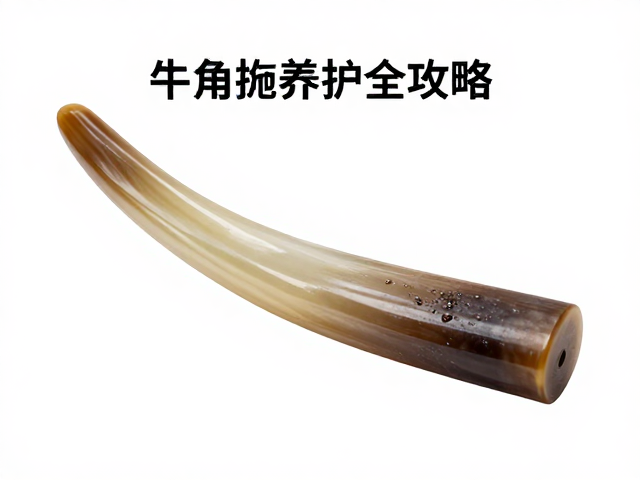 日常养护与环境适应性管理