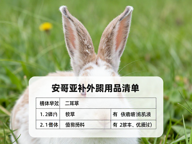 安哥拉兔耳后区域精修操作规范